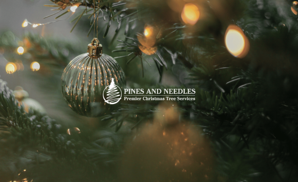 A close-up of a Christmas tree adorned with lights and a silver bauble, with the ‘Pines and Needles’ logo overlayed.